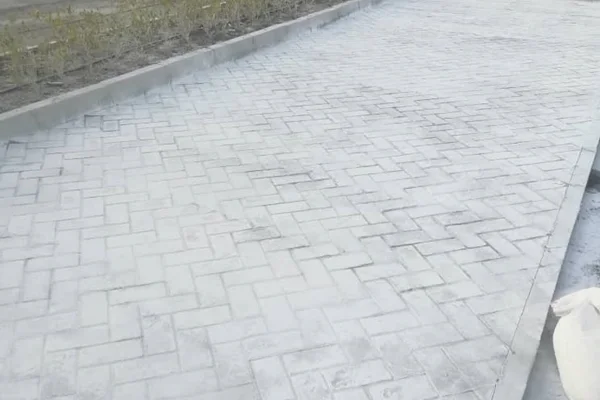 گزینه های طراحی و معماری