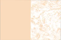 پودر جداساز قالب کد: rele pea - 10